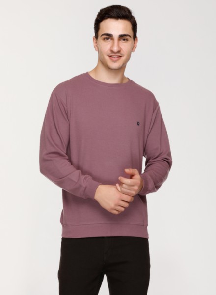Array Solid Round Neck Sweatshirt